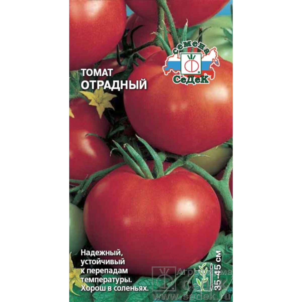 Томат Отрадный (0,1г)