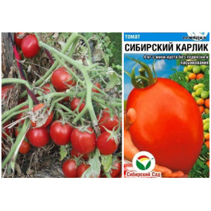 Томат Сибирский карлик (20шт)