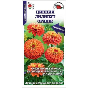 Циния лилипут оранж