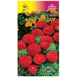 Астра Бордюр Алый (0,2г)