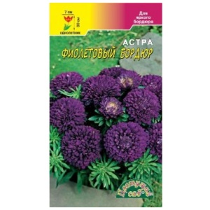 Астра Бордюр Фиолетовый (0,2г)