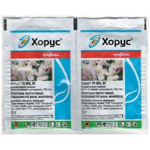 Хорус (2г)